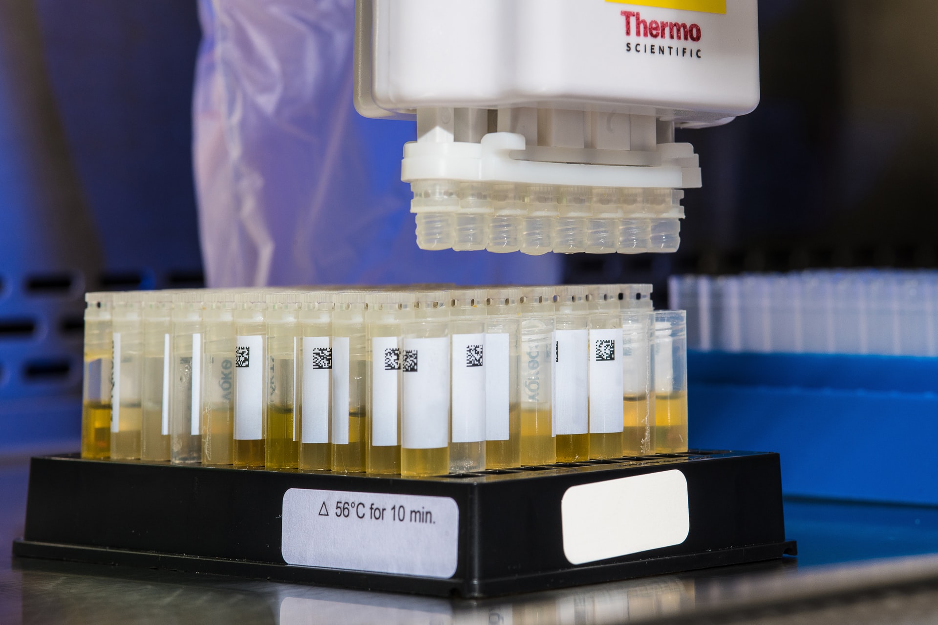 analysis_of_urine